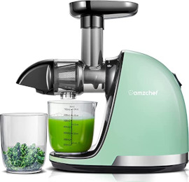 AMZCHEF Slow Juicer Entsafter Gemüse und Obst Profi Entsafter mit Ruhiger Motor & Umkehrfunktion & Saftkanne & Reinigungsbürste(150 Watt/Grün