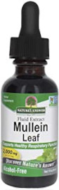 Nature's Answer Mullein Leaf Extract (Königskerze-Extrakt), 2000mg, 30ml, Alkohol-frei, Laborgeprüft, Glutenfrei, Sojafrei, Vegetarisch