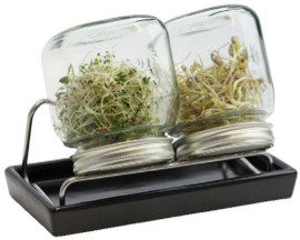 Sprossenglas System II anthrazit - Eschenfelder (750ml)